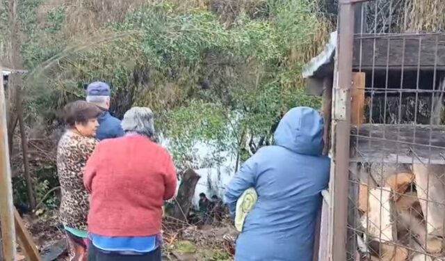 Hombre fallece tras caer al río Cholchol desde el Puente Padre Hurtado en Nueva Imperial