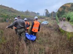 Encuentran sin vida a adulto mayor desaparecido en Curacautín