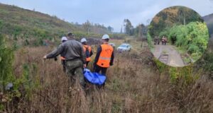 Encuentran sin vida a adulto mayor desaparecido en Curacautín