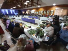 Mujeres de Freire reviven el espíritu del Trafkintu en emotiva jornada organizada por la Municipalidad