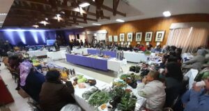 Mujeres de Freire reviven el espíritu del Trafkintu en emotiva jornada organizada por la Municipalidad