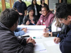 Sercotec Araucanía invita a participar de talleres gratuitos impartidos por Centros de Desarrollo de Negocios