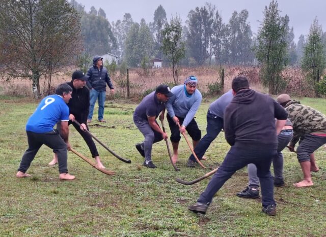 Campeonato de palin reunió a equipos de diversos sectores de Freire