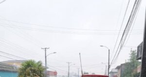 Radio Taxis Fénix llega a Pitrufquén con un servicio de transporte confiable y cercano