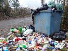 Concejal de Freire denuncia microbasural en ingreso a Villa Los Menas y llama a la conciencia vecinal