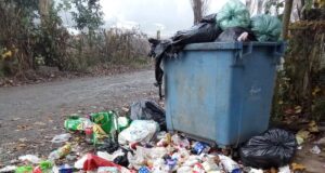 Concejal de Freire denuncia microbasural en ingreso a Villa Los Menas y llama a la conciencia vecinal