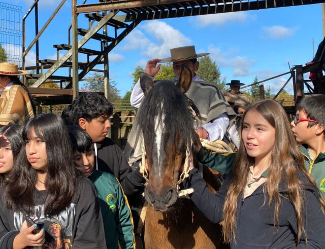 Campeones nacionales Fernanda Oporto y Franco Catalán deslumbran en visita estudiantil al club de rodeo chileno de Pitrufquén