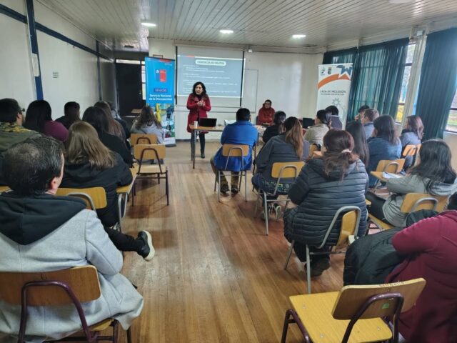 Funcionarios de la municipalidad de Freire se capacitaron en intervención respecto a casos de vulneración de derechos de personas con discapacidad