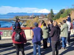 En Villarrica celebraron el día de los patrimonios con paseos en tren y show de canto a lo poeta en Liquen