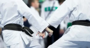 Instructor de karate es sentenciado a 6 años de cárcel por violar a niña de 12 años en Collipulli