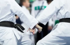 Instructor de karate es sentenciado a 6 años de cárcel por violar a niña de 12 años en Collipulli