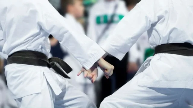 Instructor de karate es sentenciado a 6 años de cárcel por violar a niña de 12 años en Collipulli
