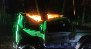 Sistema frontal en La Araucanía: vientos de hasta 90 km/h provocan caída de árboles, cortes de luz y accidentes