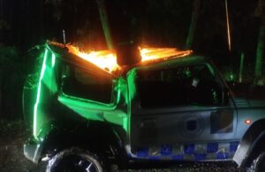 Sistema frontal en La Araucanía: vientos de hasta 90 km/h provocan caída de árboles, cortes de luz y accidentes