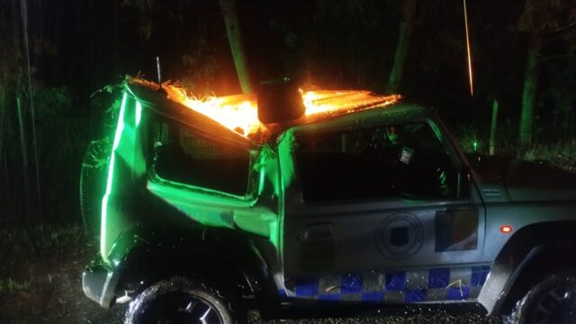 Sistema frontal en La Araucanía: vientos de hasta 90 km/h provocan caída de árboles, cortes de luz y accidentes