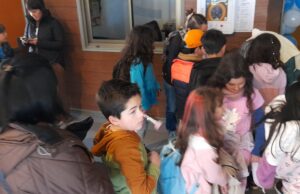 En el mes del medioambiente ONG Aguas libres y Liquen CCM sensibilizan a niños de la comuna para “proteger el lago Villarrica”