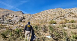 Desarticulación de banda «Los Fritz» deja nuevo decomiso de más de 100 kilos de cannabis que serían comercializados en la zona lacustre