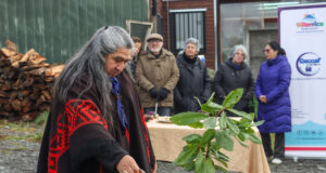Centros de salud de Villarrica Celebran el We Tripantu con ceremonias de renovación y pertinencia cultural