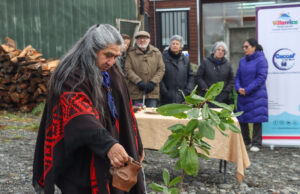 Centros de salud de Villarrica Celebran el We Tripantu con ceremonias de renovación y pertinencia cultural