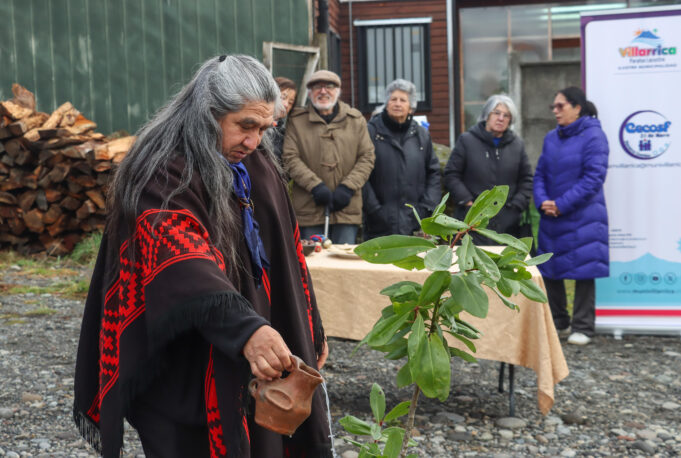 Centros de salud de Villarrica Celebran el We Tripantu con ceremonias de renovación y pertinencia cultural
