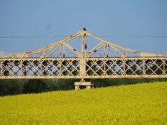 Historia sobre rieles: finaliza la primera Escuela de Patrimonio Ferroviario en la región de La Araucanía