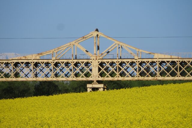Historia sobre rieles: finaliza la primera Escuela de Patrimonio Ferroviario en la región de La Araucanía