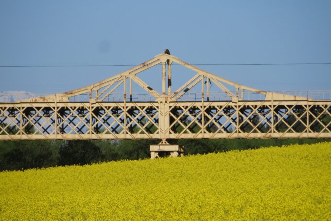 Historia sobre rieles: finaliza la primera Escuela de Patrimonio Ferroviario en la región de La Araucanía