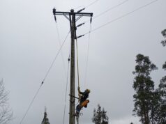 Frontel realiza balance de recuperación de servicio en La Araucanía