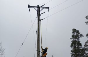 Frontel realiza balance de recuperación de servicio en La Araucanía