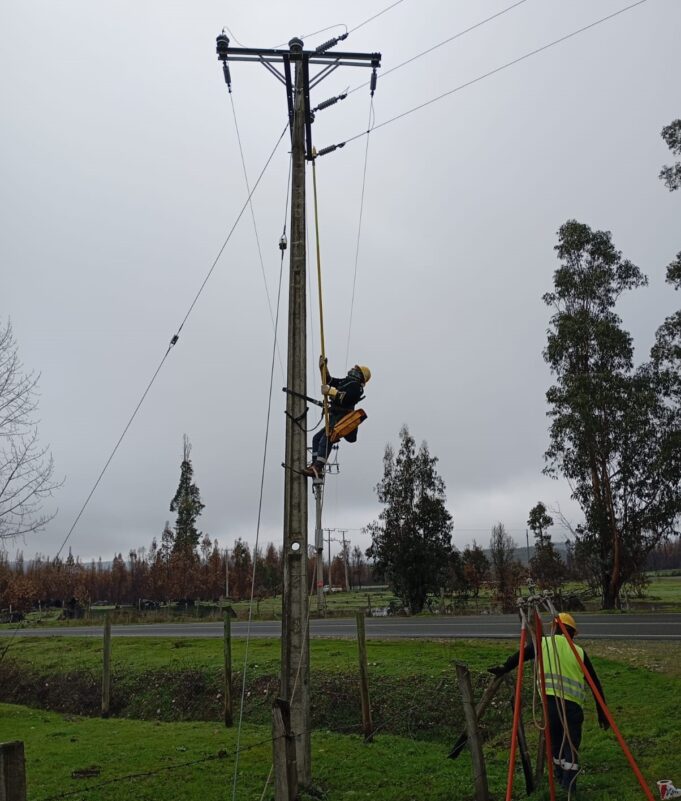 Frontel realiza balance de recuperación de servicio en La Araucanía