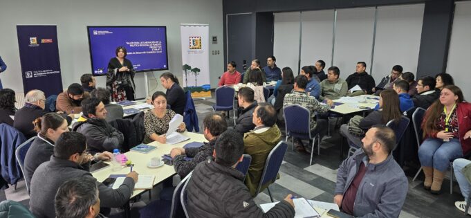 Gobierno de La Araucanía presento avances de la Política Pública Regional de Fomento Productivo a encargados de desarrollo de los municipios