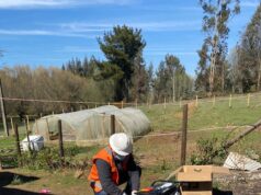 Frontel registra 263 vecinos electrodependientes en la región de la Araucanía