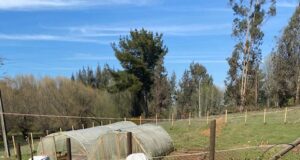 Frontel registra 263 vecinos electrodependientes en la región de la Araucanía