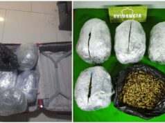 Carabineros de Carahue incautan más de 5 kilos de marihuana tras hallazgo de maleta abandonada