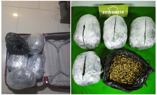 Carabineros de Carahue incautan más de 5 kilos de marihuana tras hallazgo de maleta abandonada