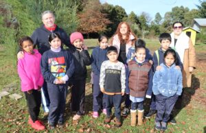 Escuela municipal el castillo un aporte a la educación rural de Villarrica