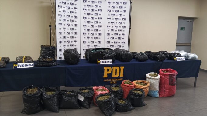 PDI Temuco saca de circulación 700 millones de pesos en cannabis sativa proveniente de la región de Coquimbo