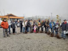 Gran participación en taller de frutales: agricultores de Freire avanzan hacia una producción más sustentable