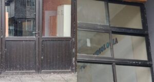 Plaga de palomas afecta a la escuela Juan Seguel de Freire: municipio inicia plan de limpieza y control