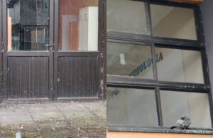 Plaga de palomas afecta a la escuela Juan Seguel de Freire: municipio inicia plan de limpieza y control