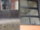 Plaga de palomas afecta a la escuela Juan Seguel de Freire: municipio inicia plan de limpieza y control