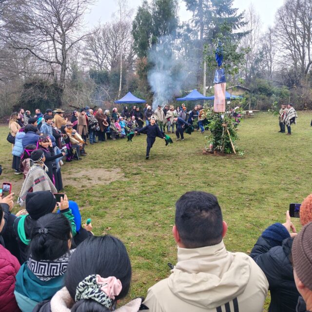 Escuelas de la comuna de Freire celebran el We Tripantu con tradiciones, familias y esperanza de un nuevo ciclo
