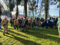 We Tripantu comunal marca inicio del año nuevo mapuche en Freire