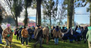 We Tripantu comunal marca inicio del año nuevo mapuche en Freire