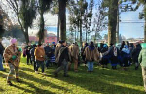 We Tripantu comunal marca inicio del año nuevo mapuche en Freire