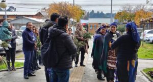 Recintos de salud de Freire también se sumaron a la celebración del We Tripantu