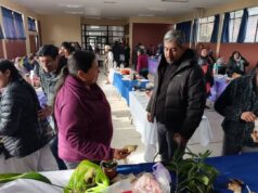 Programa Jefas de Hogar de Freire desarrolló tradicional Tarfkintú en Quepe