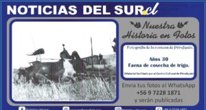 Pitrufquén; Cosecha de Trigo Años 30