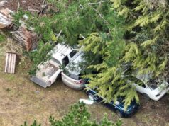 Imágenes de dron municipal evidencian posible escondite de vehículos robados en zona rural de Temuco