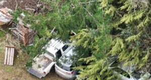 Imágenes de dron municipal evidencian posible escondite de vehículos robados en zona rural de Temuco